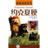 养狗训狗系列——约克夏梗