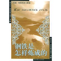 钢铁是怎样炼成的/世界文学文库