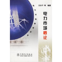 电力市场概论（电力市场研究丛书）