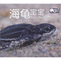 动物萌宝贝. 海龟宝宝
