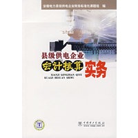 县级供电企业会计核算实务