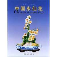 中国水仙花（精装）