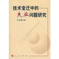 技术变迁中的失业问题研究