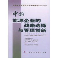 中国能源企业的战略选择与管理创新