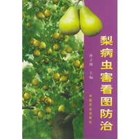 梨病虫害看图防治