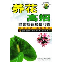 养花高招——绿饰插花盆景问答（与花为伴系列）