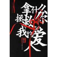 拿什么拯救你我的爱人——海岩小说经典插图本