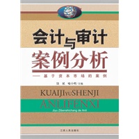 会计与审计案例分析