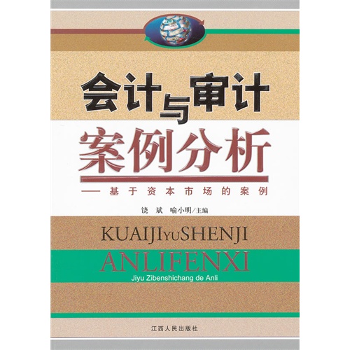 会计与审计案例分析