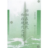 徘徊在现代和后现代之间
