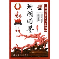 珊瑚图鉴-珊瑚鉴赏与选购