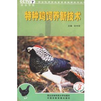特种鸡饲养新技术