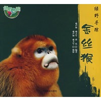 绿野寻踪—金丝猴