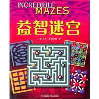 益智迷宫
