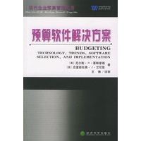 预算软件解决方案——现代企业预算管理丛书