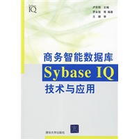 商务智能数据库SybaseIQ技术与应用
