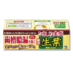 日本小林 生叶收敛加强型牙膏100g
