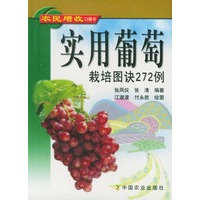 实用葡萄栽培图诀272例——农民增收口袋书