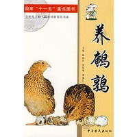 养鹌鹑