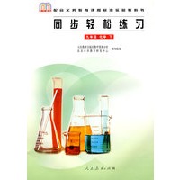 同步轻松练习：九年级 化学 下