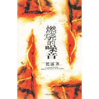 燃烧的噪音