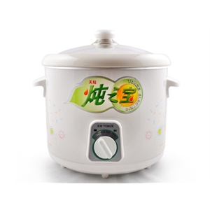 天际（TONZE）DDG-30B电炖锅