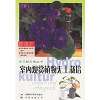 室内观赏植物无土栽培——养花新风情丛书
