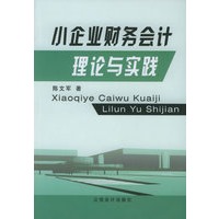 小企业财务会计理论与实践