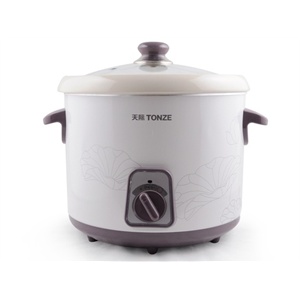 天际（TONZE）DDG-W350N电炖锅