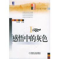 感悟中的灰色（第2版）