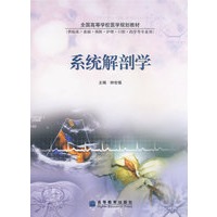 系统解剖学