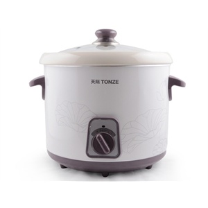天际（TONZE）DDG-W330N电炖锅