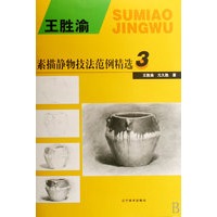 王胜渝素描静物技法范例精选