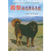 藏獒的选择与养殖