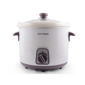 天际（TONZE）DDG-W320N电炖锅