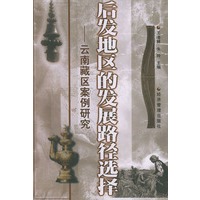 后发地区的发展路径选择：云南藏区案例研究