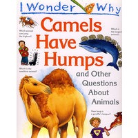 Camels骆驼