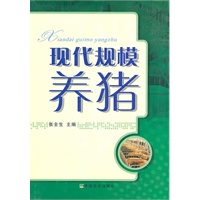现代规模养猪