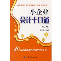 小企业会计十日通