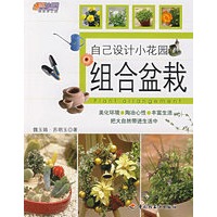 自己设计小花园：组合盆栽