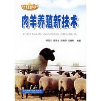 肉羊养殖新技术