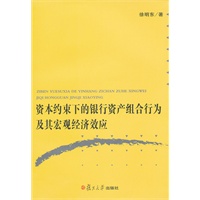 资本约束下的银行资产组合行为及其宏观经济效应