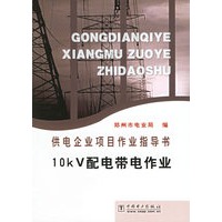 10KV配电带电作业/供电企业项目作业指导书