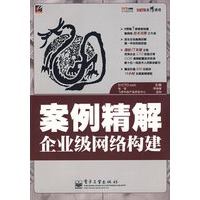 案例精解企业级网络构建
