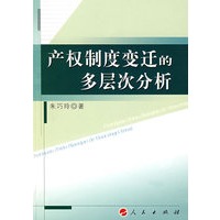产权制度变迁的多层次分析