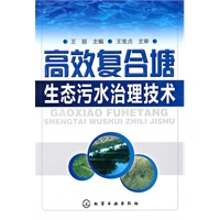 高效复合塘生态污水治理技术