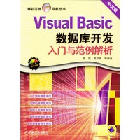 Visual Basic数据库开发入门与范例解析（中文版·含光盘）