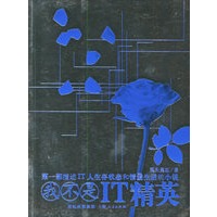 我不是IT精英