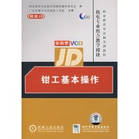 模块19:钳工基本操作(附1VCD)