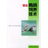 图说鹧鸪饲养技术